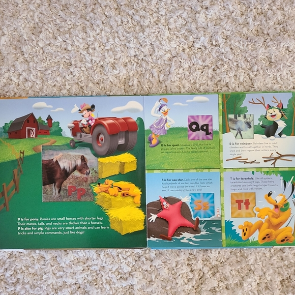 First look and find books - Picture 5 of 14